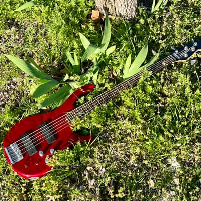 Peavey Fury V 2007/2008 5 String Bass - Upgraded Bartolini Pickups image 6