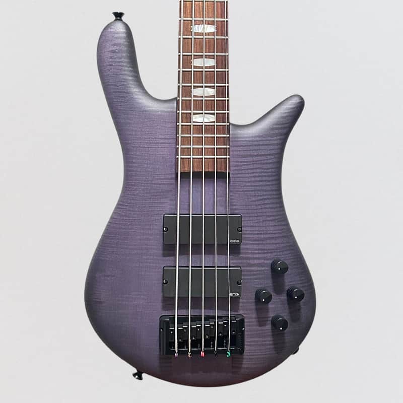 Spector Euro 5 LX 5 String Neck Through Electric Bass Guitar - Nightshade Matte image 1