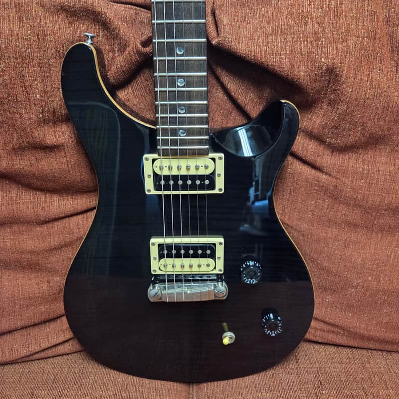PRS SE Custom 22 - Gray Black Flame Hardtail image 1