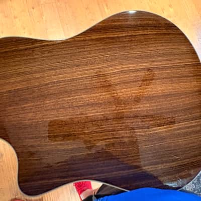 Breedlove Performance Focus D 2010 image 6