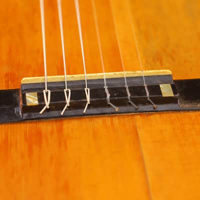 Francisco Pau ~1890 early Spanish guitar in Torres Style - outstanding construction + sound -check video image 9
