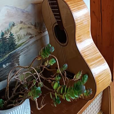'Emil Kašpar' 1830 romantic guitar replica Handcrafted 2023 image 10