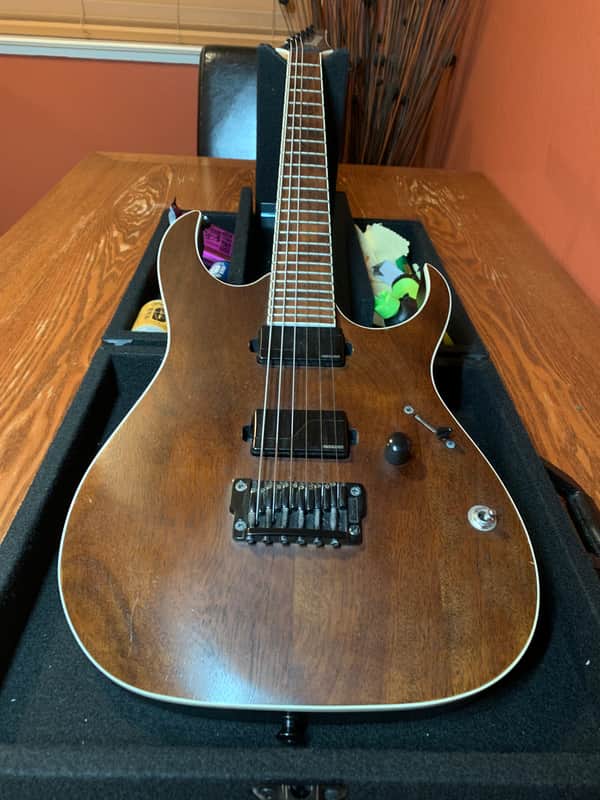 Ibanez RGIR20BFE Iron Label | Reverb