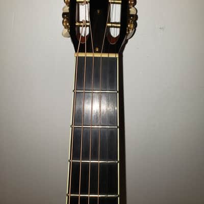 Taylor XXX MS 2004 - Natural image 15