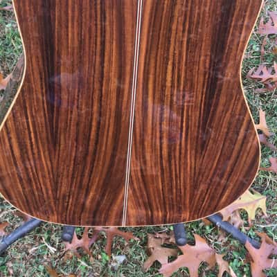 Zager 900CE 50th Anniversary image 7