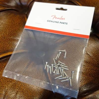 Fender Pickguard/Control Plate Mounting Screws (24) (Chrome) image 1