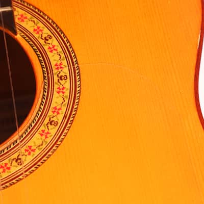 José M Palmero 2023 Flamenco Guitar – A Striking Fusion of Beauty and Power - Check Video! image 13