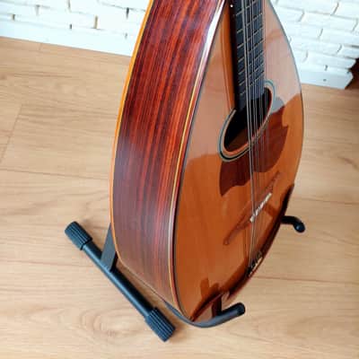 Suzuki MC-836 Mandocello / Mandoloncello | Reverb