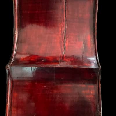 Double Bass: Vittorio Bertelli, Italy, 2003 3/4 image 7