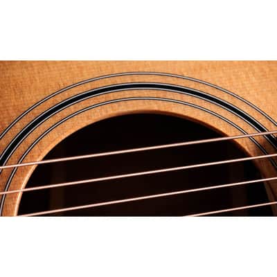 Taylor 314ce Studio Special Edition - Natural image 4