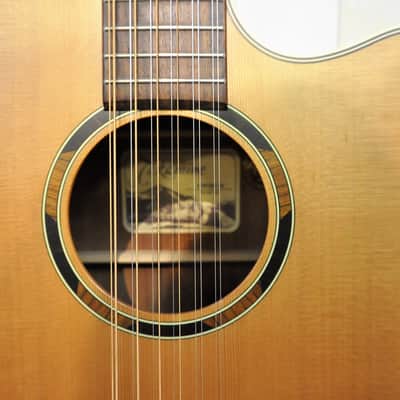 Takamine  ETN10C 12 Strings Natural image 9