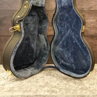 Firefly FFLP Classic Electric Guitar (Cincinnati, OH) image 7