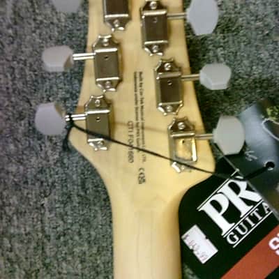PRS Silver Sky SE Electric Guitar - Overland Grey image 6