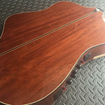 Extraordinary Near Mint Virtuoso Custom Telesis Bespoke 20 String Electro-Acoustic Harp Guitar image 17
