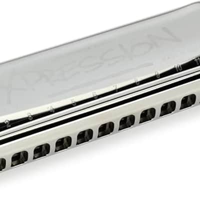 Hohner The Larry Adler Professional 16 Chromatic Harmonica | Reverb