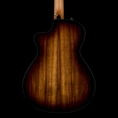 Taylor 222ce-K DLX #06475 image 4