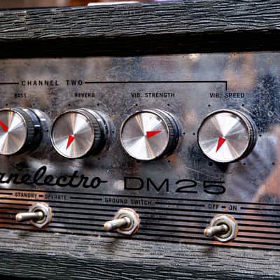 Danelectro DM-25 Vintage Tube Amp/Cab Combo w/ Reverb & Tremolo image 9