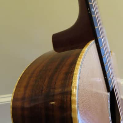 Goodall master Cedar/ AAA Claro Walnut Concert Jumbo Cutaway, with case. image 7