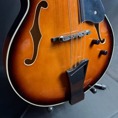 Gold Tone Mandocello 8-String Acoustic-Electric Vintage Sunburst w/ Hardshell Case image 6