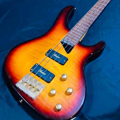 Washburn KW-1250 Kip Winger Signature Model Electric Bass Guitar