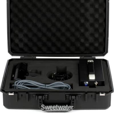 Warm Audio WA-8000 Large-diaphragm Tube Condenser Microphone (WA8000d5) image 2