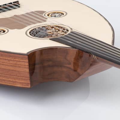 Electric Oud Cutaway Semi Acoustic Oud image 5