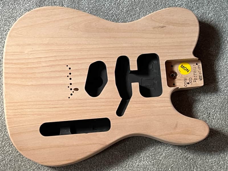 Fender American Professional II Telecaster guitar body image 1