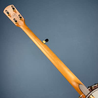 Ode Magician 5-String Openback Banjo 12 inch Cherry image 18