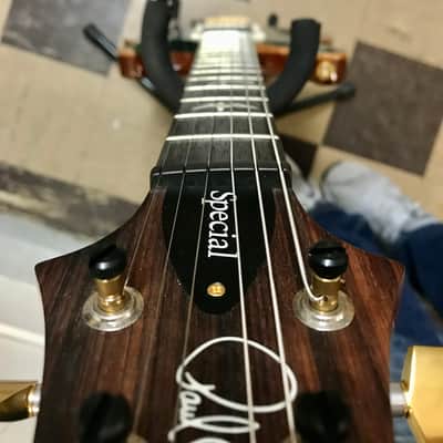 PRS Special 22 Semi-Hollow Limited Edition 10-Top W/PRS Paisley case image 8