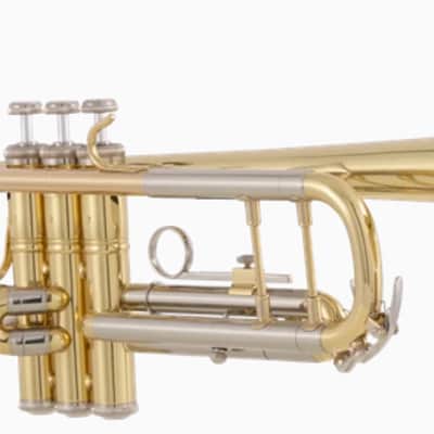 Bach BTR302 Student Trumpet - Clear Lacquer image 7