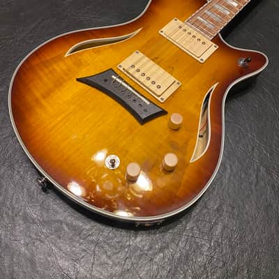 Michael Kelly Spalted Hybrid E/A 2025 - Spalted Burst image 4