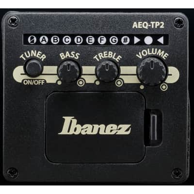 Ibanez AJ7012M1E Artwood Jumbo 12-String Acoustic-Electric Guitar - Black image 12