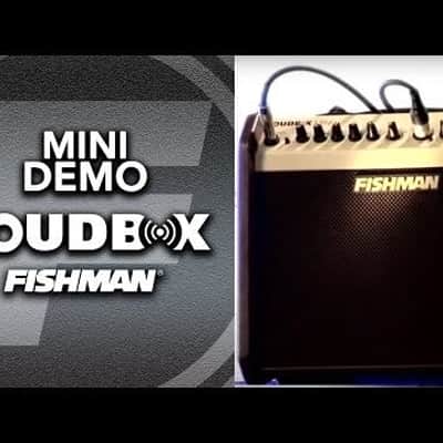 Loudbox Mini Bluetooth 60-Watt Acoustic Guitar Amplifier image 6
