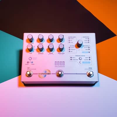 Hologram Electronics Microcosm | Reverb