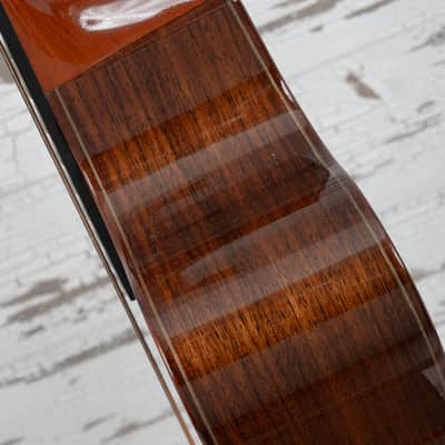 Manzer Baritone "Pat Metheny" image 20