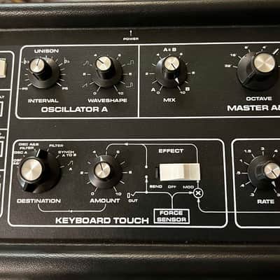 Moog Multimoog 1981 - Black image 3