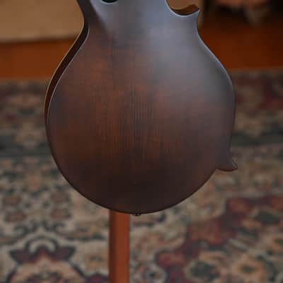 Eastman MD315L Left-Handed F-Style Hand-Carved Mandolin #2243 image 7
