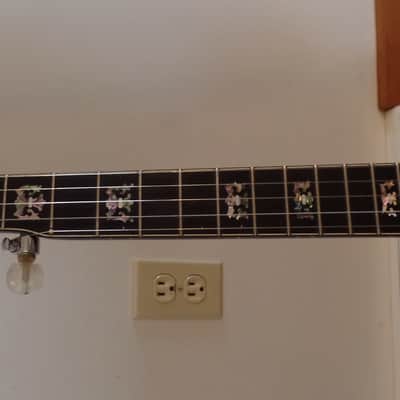 Wildwood Artist open-back banjo image 3