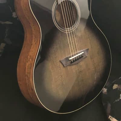 Washburn 6 String Acoustic Guitar, Right (BTS9CH-D) image 1