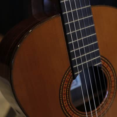 Asturias AST 60 Classical Guitar Cedar/Indian Rosewood image 2