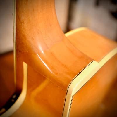 Fender D'Aquisto Elite Natural 1984 image 17