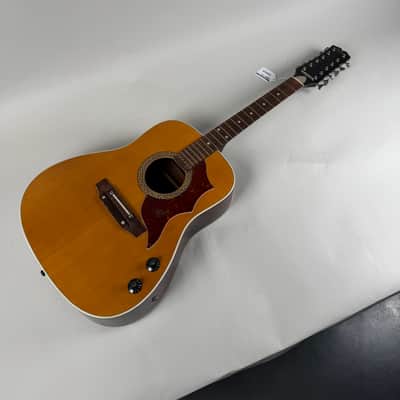 Hoyer 12–String Projec 1970’s image 1