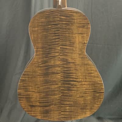 Waterloo WL-12 X Bracing Jet Black Top Truss Rod w/case image 9