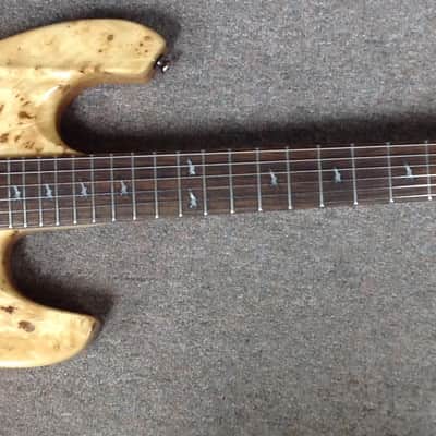 Lodestone- Artist electric guitar, model # EA-BEP-CLG, 2008 image 1