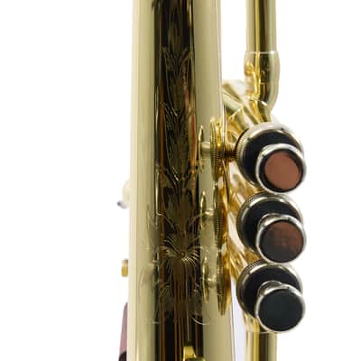 S.E. Shires Model Q19 Q-Series Professional Flugelhorn BRAND NEW image 13