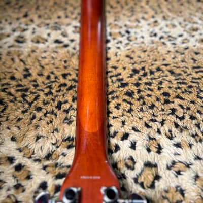 Cort Earth 100 NAT Solid Sitka Spruce/Mahogany Dreadnought 2010s - Natural Glossy image 11