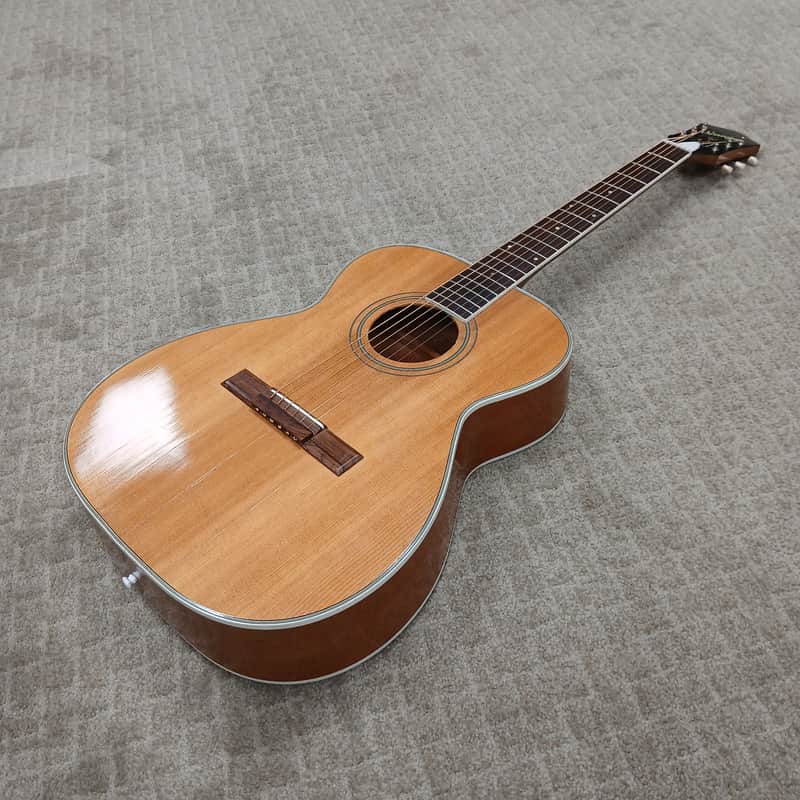 Vintage 1969 Harmony Sovereign H1203 w/ Hard Shell Case image 1