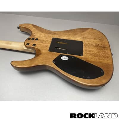 Schecter C-6 FR Pro Aqua Burst image 10