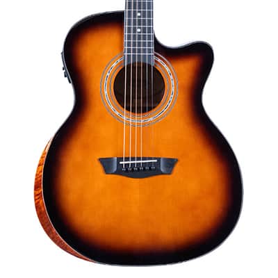 Washburn Comfort WCG10CE