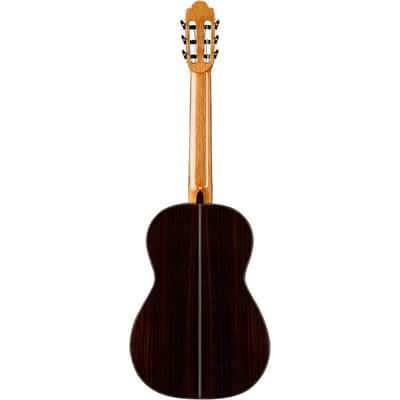 Cordoba Master Series - Torres - Solid Spruce Top - Solid Indian Rosewood B/S - Made in USA - 2026 image 2